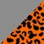 Grey Leopard